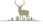 Dzika Pasja