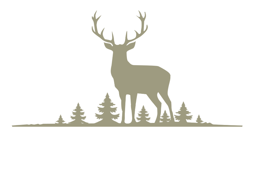 Dzika Pasja